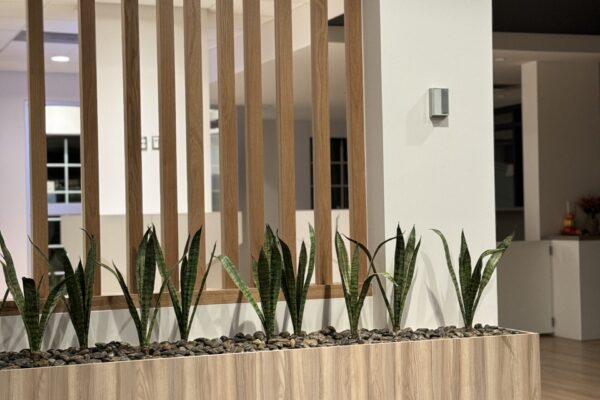 Séparateur bois avec plantes d'intérieur modernes.