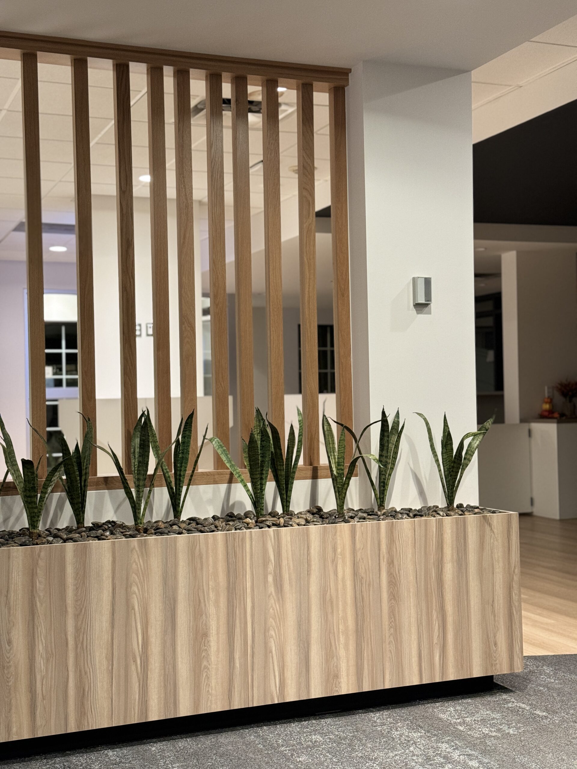 Plantes d'intérieur modernes dans un bureau élégant.
